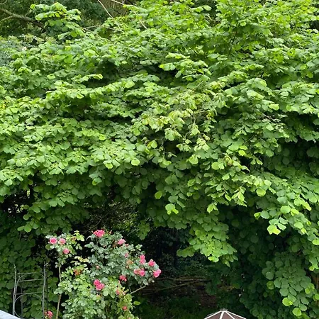 Holter Deel Pensión